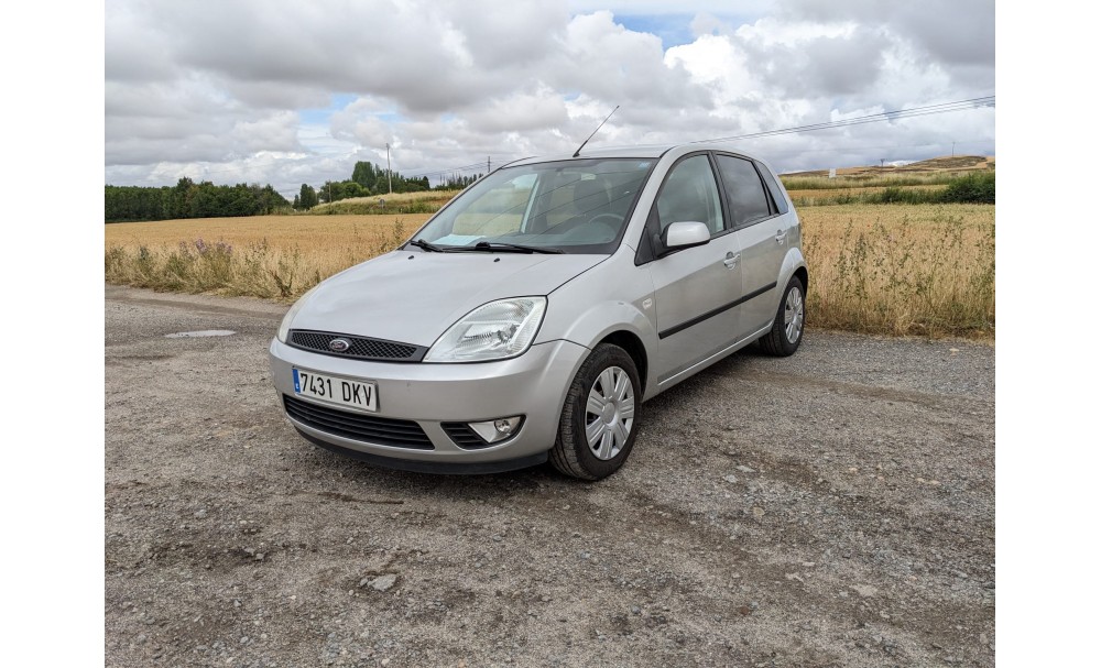 FORD FIESTA 1.4 TDCi Steel